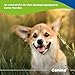 Canina Flexan, 400 g