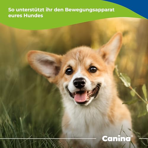 Canina Flexan, 400 g