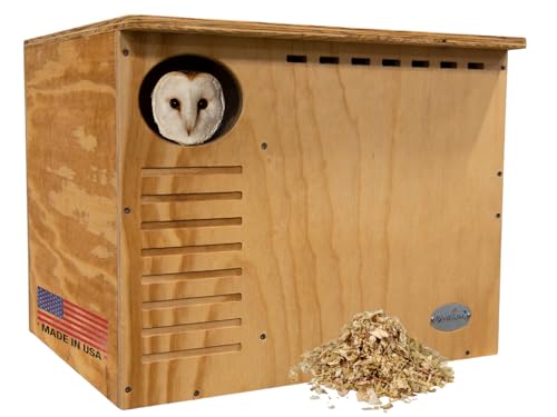 JCS Wildlife Barn Owl Box