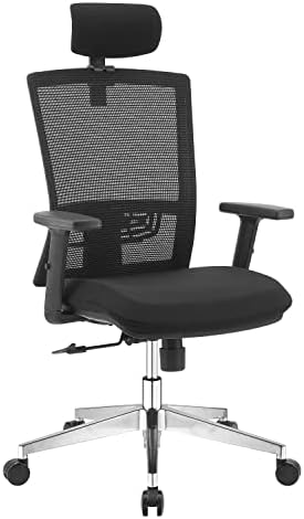 WORKSMYTH Ergonomic Office Chair, High Back Home Office Desk Chair with Adjustable Lumbar Support and Headrest, Swivel Computer Task Chair with Tilt Function, Aluminum Alloy Base, Black