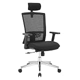 WORKSMYTH Ergonomic Office Chair, High Back Home Office Desk Chair with Adjustable Lumbar Support an