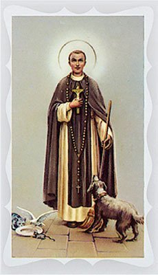 PRAYER VERSE CARD 120mm x 65mm Plastic Wallet & Medal St Saint MARTIN