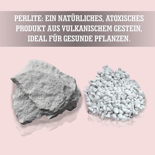 LERAVA® Perlite für Pflanzen (5L) – Grobkörniger Perlit zur Bodenverbesserung – Sorgt für optimale Drainage & Belüftung – Natürlicher Zusatz für Erde & Hydrokultur - Granulat Pflanzen