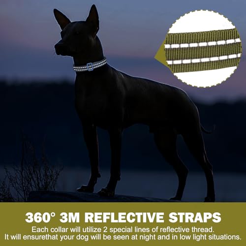 Collar Reflectante Ajustable para Perro Tamaño S Verde miniatura 3