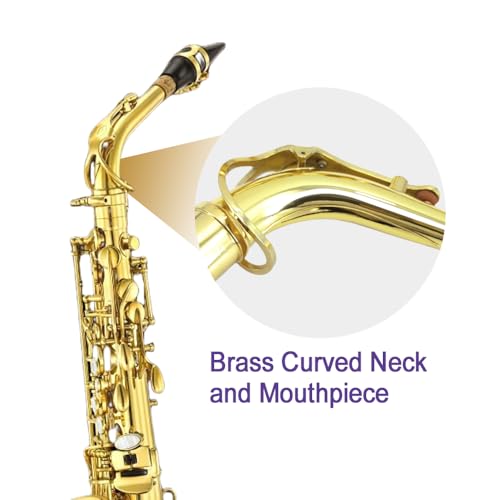 YoungMonic Alto Saxophone E Flat for Adults Student Sax Eb Alto Full Kit With Carrying Sax Case Mouthpiece Straps Reeds Saxophone Beginner Kit