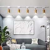 ★ [ÁMBITO DE APLICACIÓN]: El foco de techo en la sala de estar tiene un aspecto simple y elegante y se puede utilizar en diferentes lugares. Adecuado para sala de estar, dormitorio, comedor, sala de estudio, hotel, habitación de invitados, pasillo, etc.