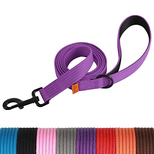 Lynxking 6Ft Dog Leash For Large Medium Small Dogs,Strong Durable Heavy Duty Nylon Leashes For Walking And Training, Heavy Duty 6 Foot Dog Leash With D Ring For Puppy (Purple, Small 5/8" X 6') #TOP18