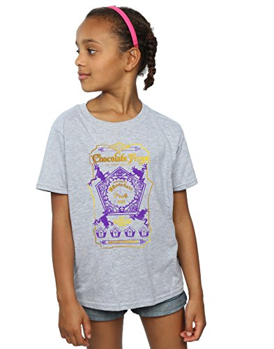 Harry Potter Girls Chocolate Frogs Coloured Label T-Shirt 12-13 Years Sport Grey