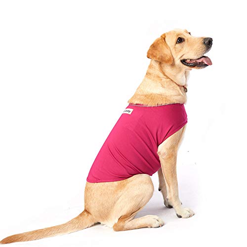 the thunder jacket for dogs