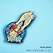 Franky Pin One Piece Franky One Pice Pins Enamel Franky Merch Franky Enamel Pins (BLUESUPER)