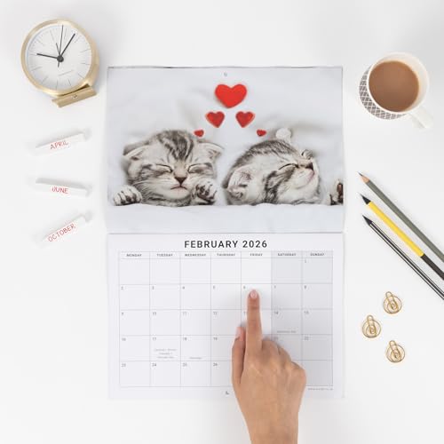 Calendar 2026 Kittens - Cute & Adorable Kitten Photos - Month to View UK Wall Planner, A3 When Open - 170gsm Silk Paper - Perfect Cat Lover Gift - Image 3