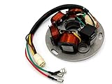  Lichtmaschine Stator Vespa PX 125/150 typ 217893