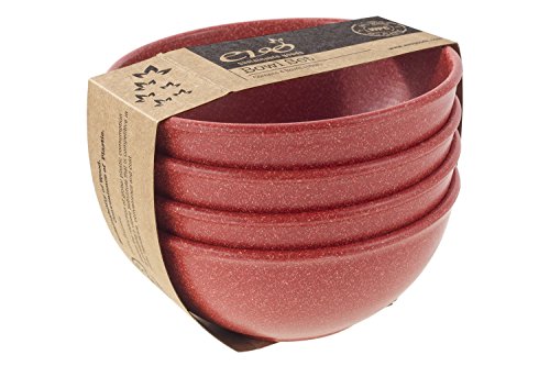 EVO Sustainable Goods 16 oz. Bowl Set, Red