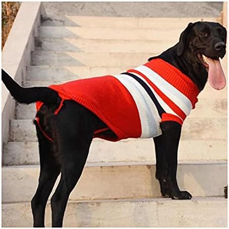 big dog sweaters amazon