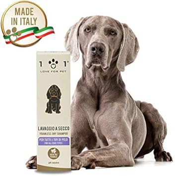 shampoo per gatti senza acqua