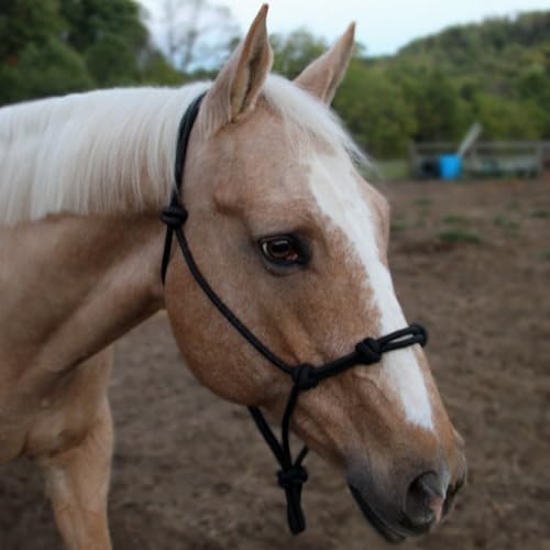 Tahoe Tack Corda de treinamento de cavalos Copper Tip Series – 4 nós, cordão rígido de 6 mm