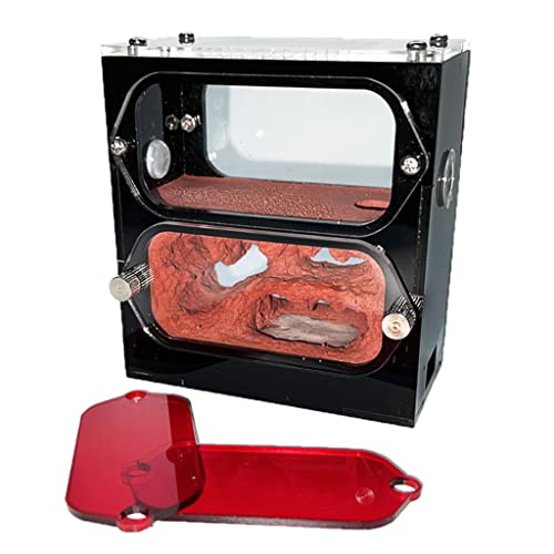 GGFLY Ferme de Fourmis Acrylique avec château d'eau hydratant nid de Fourmis en béton Fourmi élevage Insectes Maison fourmilière Atelier Accessoires