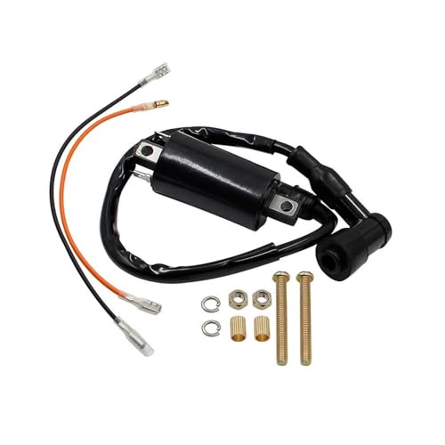 Bobina de encendido para KLF300 BY300 (1986-2004) y motos de cross