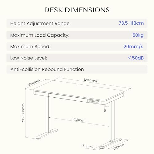 FLEXISPOT Comhar Biurko elektryczne z regulowaną wysokością do pracy na siedząco i stojąco, blat 120 x 60 cm, biała rama, stanowisko pracy, porty USB, panel z funkcją pamięci, kolor drewna klonowego