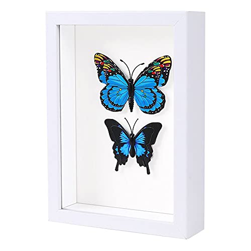 Kapix Shadow Box 5X7 Picture Frame With Hd Plexiglass Deep Wood Memory Box Display Case For Flowers,Ticket,Memorabilia,Keepsake,Medal,Art And Photos,White #TOP1