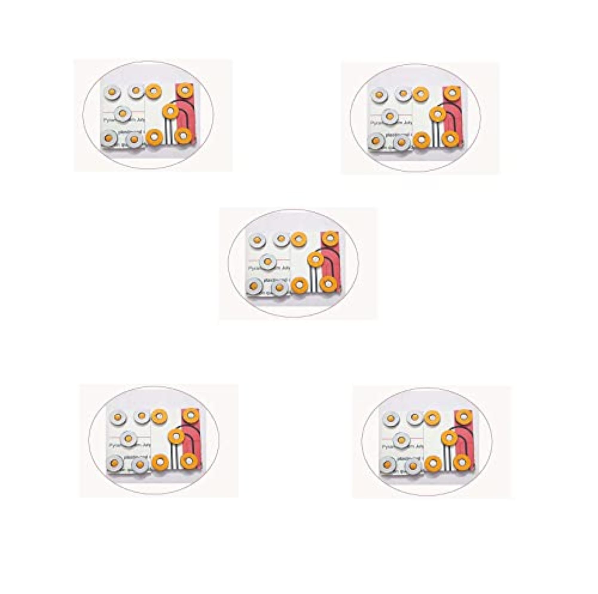 Sujok Therapy Chakra Magnet 10 Pcs