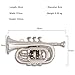 QUEENBRASS Pocket Trumpet in Bb Pitch – Chrome Finish Brass Instrument with Mouthpiece & Case | Compact Design for Students, Beginners