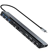 USB C Docking Station Dual Monitor: NewQ 12-in-1 Hub with Dual HDMI 4K@30Hz, 4*USB, Audio, Ethern...