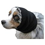 Dog Hoodies Birthday