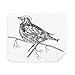 Bird Paint Flying Line Small Cleaning Cloth Screen Cleaner 2pcs Suede Fabric