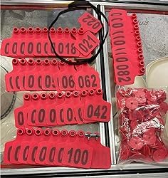 Marques auriculaires pour chèvres évitant la perte d'identification - 6