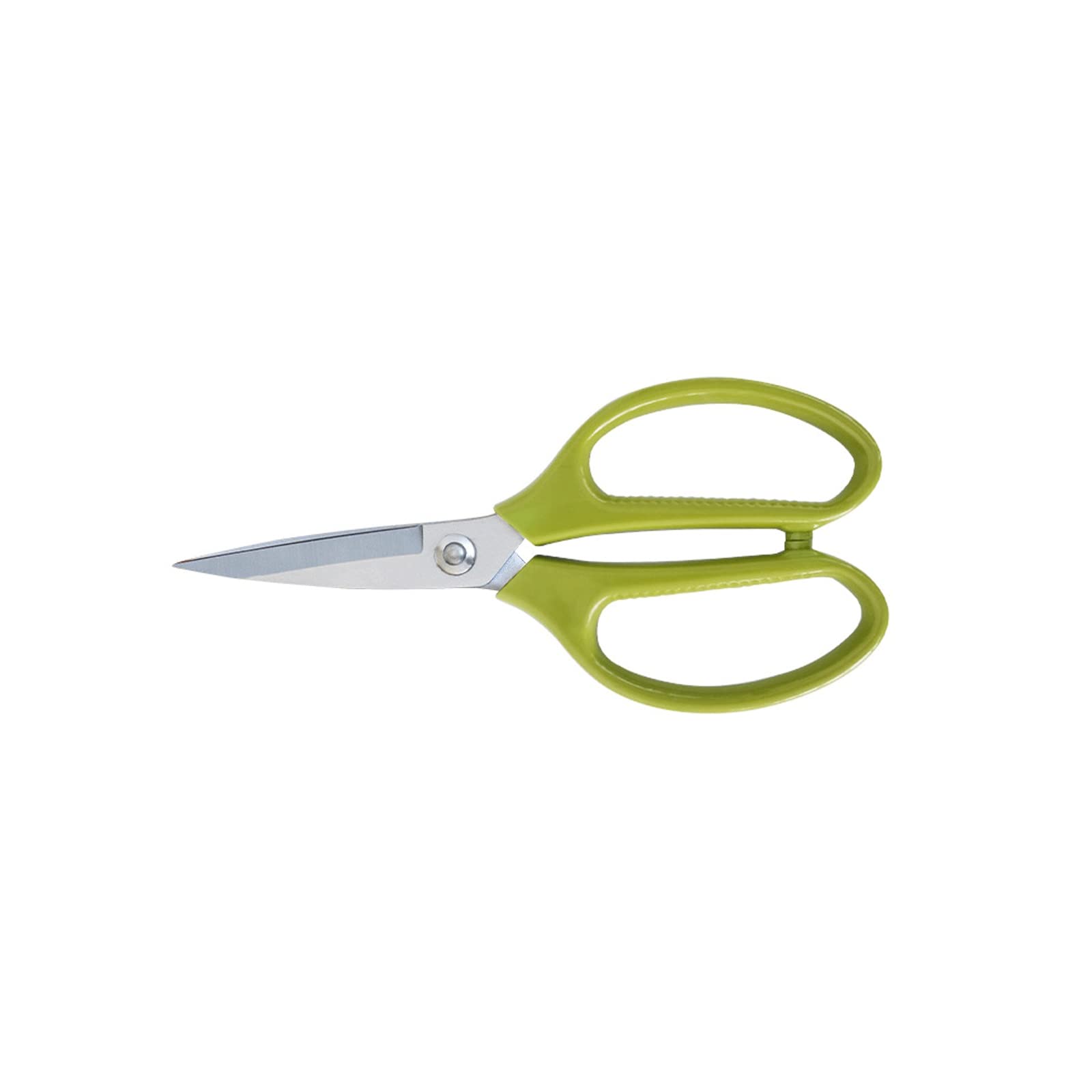 Forbici da cucina Multiuso in Acciaio inossidabile Forbici da cucina resistenti di Alta qualità per Frutti di Mare (Verde) (Green Q)
