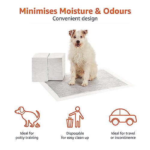 Amazon Basics Dog and Puppy Pee Pads with 5-Layer Leak-Proof Design and Quick-Dry Surface for Potty Training, Odor-Control Carbon, XL, 28 x 34 Inch - Pack of 50, Gray - Image 4