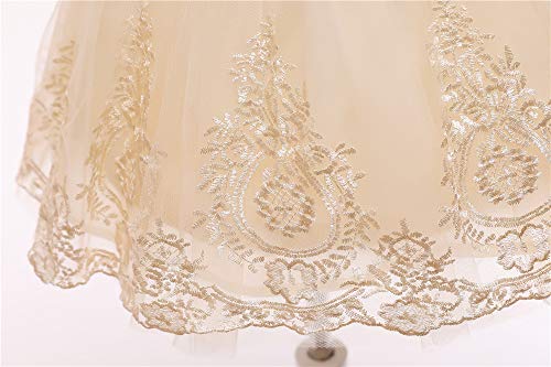 Image of TUIJI 0-6T Big Bowknot Toddler Baby Girls Formal Dresses Pageant Party Lace Embroidery Dress with Headwear