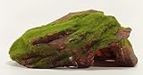 Rock Cave with Moss Aquarium Ornament 10 Inches Long, Artificial Aquarium & Fish Tank Decoration Ornament, Fish, Reptile & Turtle Safe Polyresin