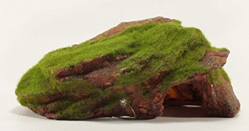 Rock Cave with Moss Aquarium Ornament 10 Inches Long, Artificial Aquarium & Fish Tank Decoration Ornament, Fish, Reptile & Turtle Safe Polyresin