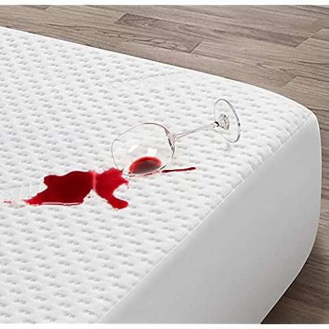 EASELAND Bamboo Waterproof Mattress Protector Queen Size Cooling Cozy Fabric 3+1 Waterproof Tech Breathable Hypoallergenic Mattress Pad Cover, Noiseless, Vinyl Free, 18"- 21" Deep Cover