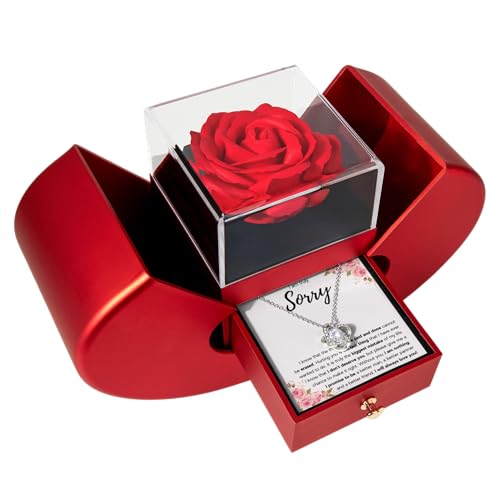 FG Family Gift Mall Im Sorry Gifts For Her Apology Gifts For Her I Love You Im Sorry Gift Giant Sorry Forgiveness Necklace with Message Card and Gift Box (Heart Box Interlocking Mistake)
