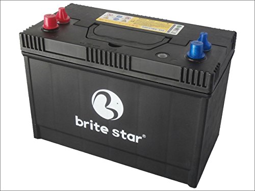 Brite Star SMF 24MS600 バッテリー本体 Amazon.co.jp: Brite Star ブライトスター ディープサイクル