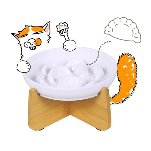 Slow Feeder Cat Bowl with Stand, Melamine, Elevated Edges