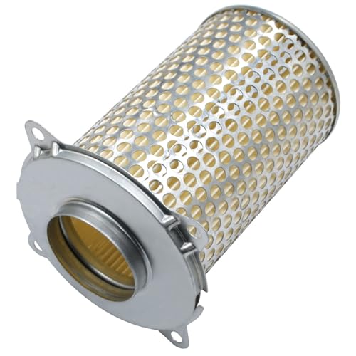 Road Passion Filtre à air 13780-01D00 Compatible avec Suzuki GS500 GS500E GS500F GSF250 GSF400 Bandit GSX1200 GSX400 GSX400X GV1200GL GV700GL GS500ESK GS500EU...