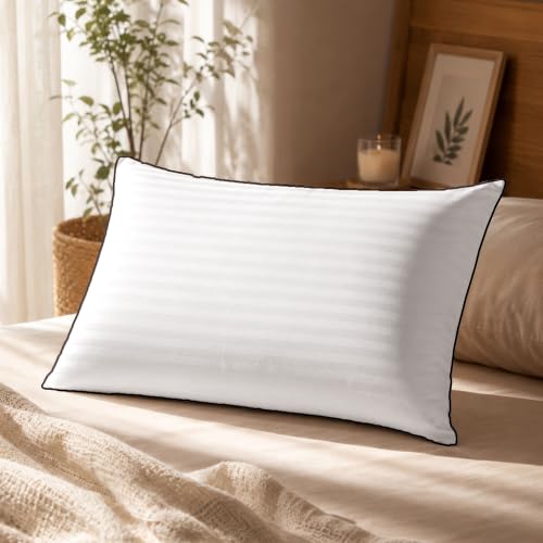 Divine Casa Microfiber Solid Dyed Pillow Insert/Filler 18 Inches ...