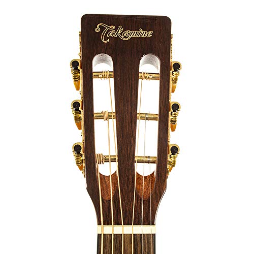 TAK-GSY11ME-NG Chitarra acustica new yorker elettrificata