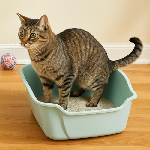 Arenero para gato grande con paredes altas, plástico miniatura 4