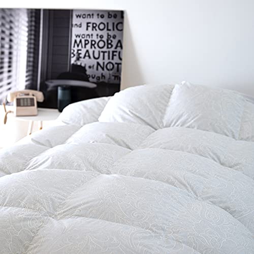 �H�ѕz�c �V���O�� ���� �t�����X�Y�z���C�g�_�E��90% 1.1kg DP400 �R�C�������h���[ ���{�� �H�ъ|���z�c �H�тӂƂ� �~�p �g�� 50671 (�y�C�Y���[/�O���[)