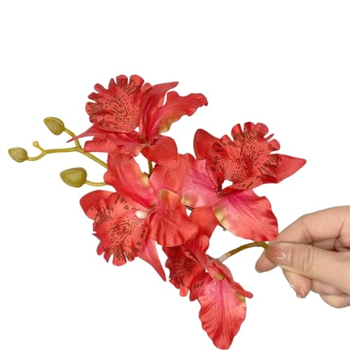 xbiez lHXC[gt[wANbv ̎qp qp ob^ t[ VrWE nhCh wAs u[wAs