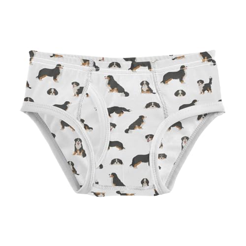 Boys' Exclusive Briefs Toddler Underwear 95% Combed Cotton Boxerbriefs 2T Dog Breed Pattern 3