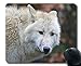 Produktbild Mausunterlage Rutschfeste Naturkautschuk-Rechteck-Mauspads, Raubwolf Wolf der wild lebenden Tiere Spiel Mousepad Matte