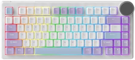 AK820 V2 8KHz Magnetic Mechanical Keyboard Bingyu Hall Effect Rapid Trigger