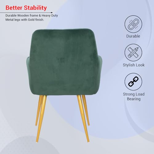 Image of Taboo Velvet Accent Chair with Armrests | Upholstered Luxury Lounge Dining Arm Chair | Soft Cushioned Seat with Backrest | Modern Velvet Chair with Gold Metal Legs for Living Room & Bedroom | Green