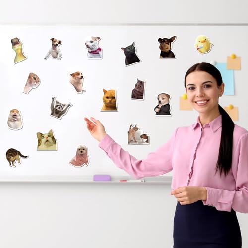 Set de 25 imanes decorativos divertidos con diseño de animales miniatura 6